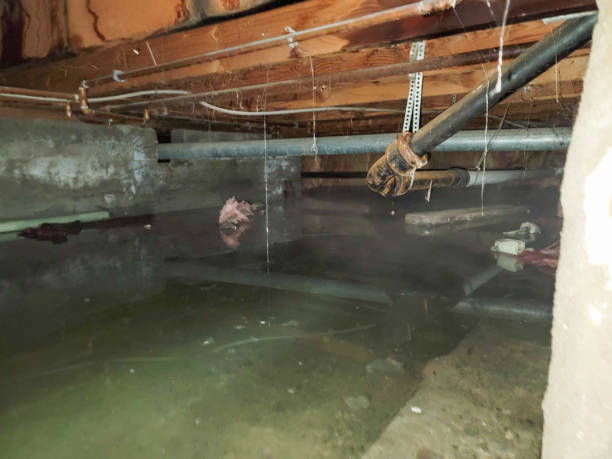 Best Commercial water damage restoration  in Planada, CA