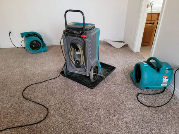 Best 24/7 water damage repair  in Planada, CA