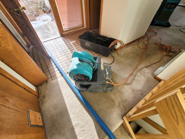 Best Water damage contractors near me  in Planada, CA