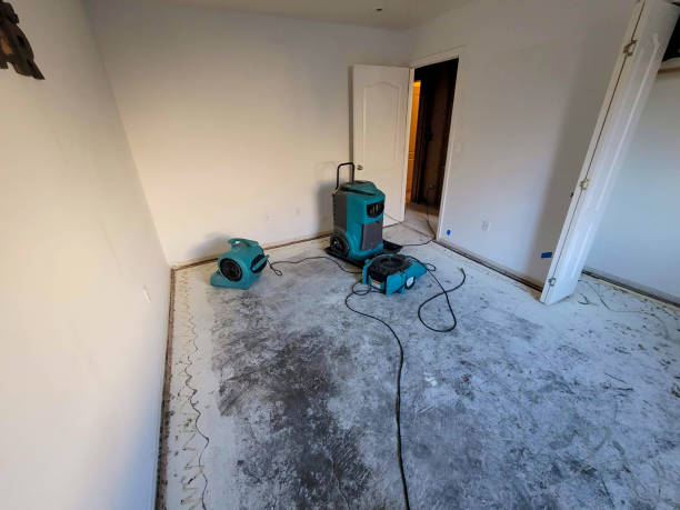 Best 24-hour water damage restoration  in Planada, CA
