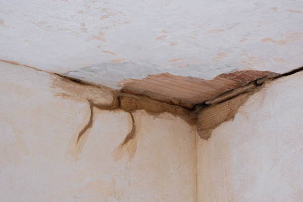 Best 24-hour water damage restoration  in Planada, CA