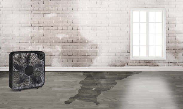 Best Basement water damage restoration  in Planada, CA