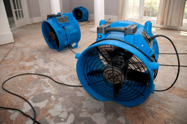 Best Flood restoration services  in Planada, CA