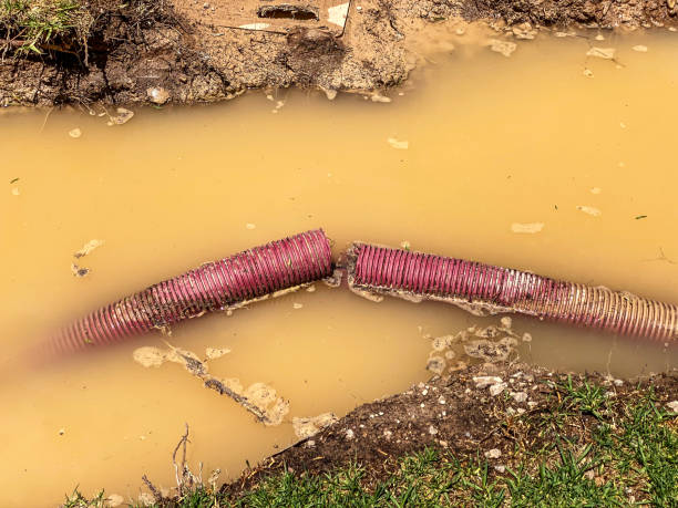 Best Water damage restoration near me  in Planada, CA
