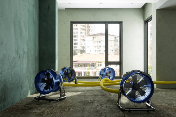 Best Flood damage cleanup  in Planada, CA